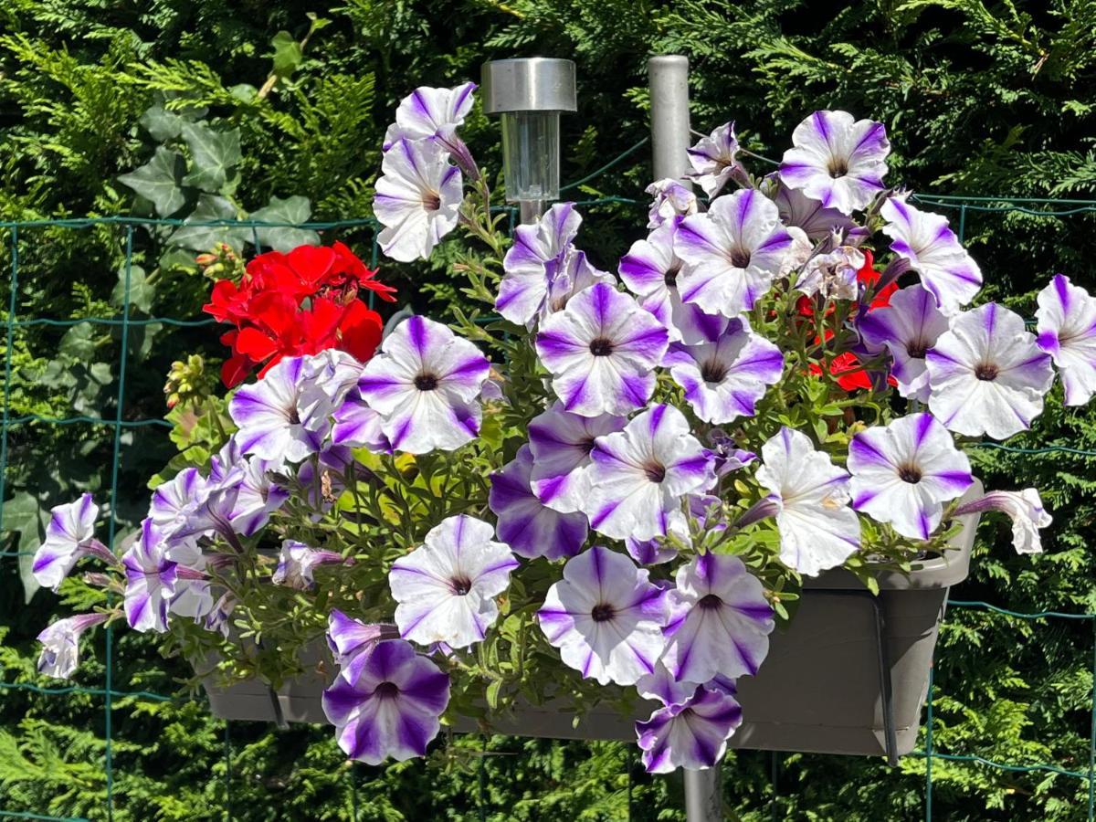 Les Floralies Apartman Froberville Kültér fotó